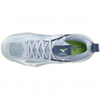 Волейбольні кросівки жіночі Mizuno WAVE MOMENTUM 2