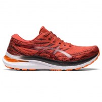 Кросівки для бігу чоловічі Asics GEL-KAYANO 29 Spice Latte/Black