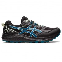 Кросівки для бігу чоловічі Asics GEL-SONOMA 7 GTX Black/Ink teal