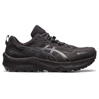 Кросівки для бігу чоловічі Asics GEL-TRABUCO 11 GTX Black/Carrier grey