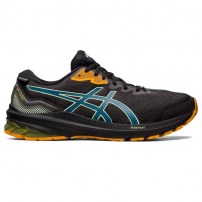 Кросівки для бігу чоловічі Asics GT-1000 11 GTX Black/Ink Teal