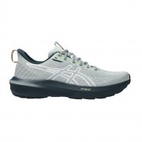 Кросівки для бігу чоловічі Asics GT-1000 14 TR Nature bathing/Lichen rock