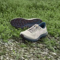 Кросівки для бігу чоловічі Asics GT-1000 14 TR Nature bathing/Lichen rock