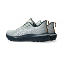 Кросівки для бігу чоловічі Asics GT-1000 14 TR Nature bathing/Lichen rock