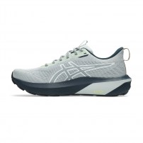 Кросівки для бігу чоловічі Asics GT-1000 14 TR Nature bathing/Lichen rock