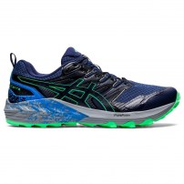 Кросівки для бігу чоловічі Asics GEL-TRABUCO TERRA  Deep Ocean/New Leaf