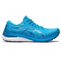 Кросівки для бігу чоловічі Asics GEL-KAYANO 29 Island blue/White