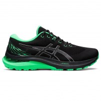 Кросівки для бігу чоловічі Asics GEL-KAYANO 29 LITE-SHOW Black/New Leaf