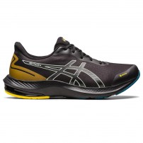 Кросівки для бігу чоловічі Asics GEL-PULSE 14 GTX Black/Whisper Green