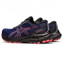 Кросівки для бігу жіночі Asics GT-2000 11 GTX Black/Indigo blue
