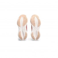 Кросівки для бігу жіночі Asics GEL-CUMULUS 25 Light garnet/Pale apricot