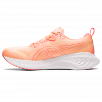 Кросівки для бігу жіночі Asics GEL-CUMULUS 25 Summer dune/Light orange