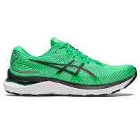 Кросівки для бігу чоловічі Asics GEL-CUMULUS 24 Cilantro/Black