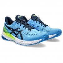 Кросівки для бігу чоловічі Asics GT-1000 12 Waterscape/French blue