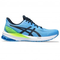 Кросівки для бігу чоловічі Asics GT-1000 12 Waterscape/French blue