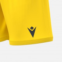 Волейбольні шорти чоловічі Macron GALAX Жовтий