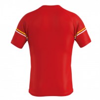 Волейбольная футболка мужская Errea DIAMANTIS Красный/Желтый/Белый