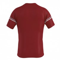 Волейбольная футболка мужская Errea DIAMANTIS Бордовый/Серый/Белый