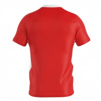 Волейбольная футболка мужская Errea BRIAN Красный/Белый