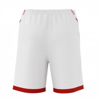 Волейбольные шорты мужские Errea TRANSFER 3.0 Белый/Бордовый