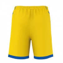 Волейбольные шорты мужские ERREA TRANSFER 3.0 Желтый/Синий