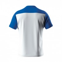 Волейбольна футболка чоловіча Errea BRANDON Білий/Синій