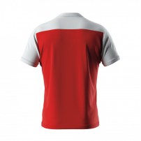 Волейбольна футболка чоловіча Errea BRANDON Червоний/Білий