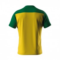 Волейбольна футболка чоловіча Errea BRANDON Жовтий/Зелений