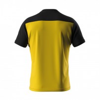 Волейбольна футболка чоловіча Errea BRANDON Жовтий/Чорний