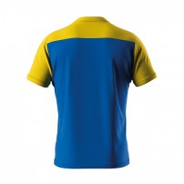 Волейбольна футболка чоловіча Errea BRANDON Синій/Жовтий
