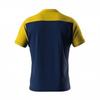 Волейбольна футболка чоловіча Errea BRANDON Темно-синій/Жовтий