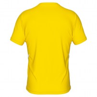 Тренувальна футболка чоловіча Errea MARVIN Жовтий