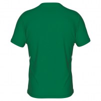 Тренувальна футболка чоловіча Errea MARVIN Зелений