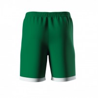 Волейбольні шорти чоловічі Errea BARNEY Зелений/Білий
