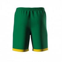 Волейбольні шорти чоловічі Errea BARNEY Зелений/Жовтий