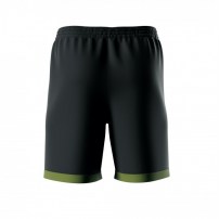 Волейбольні шорти чоловічі Errea BARNEY Чорний/Темно-зелений