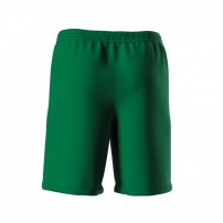 Волейбольні шорти чоловічі Errea EDO Зелений