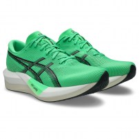 Кросівки для бігу унісекс Asics MAGIC SPEED 5 Vital green/Carrier grey