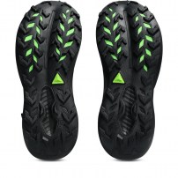 Кросівки для бігу жіночі Asics TRABUCO 14 GTX Black/Graphite grey